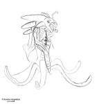 080421_squidish 080421_squidish