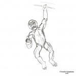 080717_monkey 080717_monkey