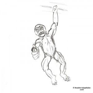 080717_monkey